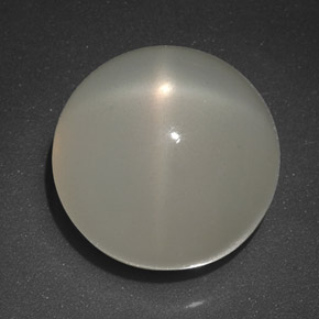 Pedra da Lua Estrela Leite branco Natural 11.21ct, Transparente, Transparente/Translúcido