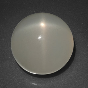 Pedra da Lua Estrela Leite branco Natural 11.21ct, Transparente, Transparente/Translúcido