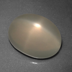 Pedra da lua estrela creme natural 5,56ct, transparente, transparente/translúcido