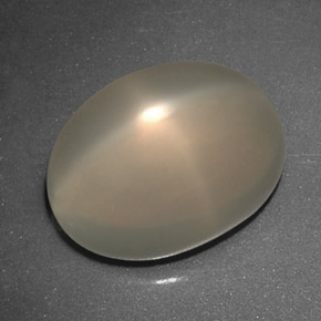 Pedra da lua estrela creme natural 5,56ct, transparente, transparente/translúcido