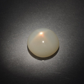 Pedra da lua estrela creme natural 9,61ct, corte redondo, transparente