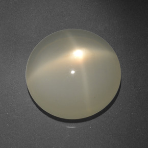 Pedra da lua estrela creme natural 16,68ct, corte redondo, translúcido
