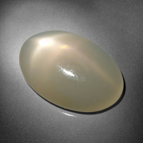 Pedra da lua estrela creme natural 16,18ct, corte oval, translúcido
