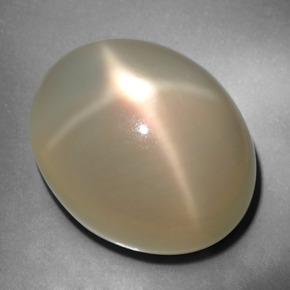 Pedra da lua estrela creme natural 34,76ct, corte oval, translúcido