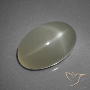 Pedra da lua estrela branco natural 11,25ct, corte oval, translúcido