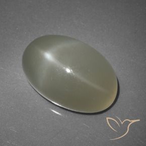 Pedra da lua estrela branco natural 11,25ct, corte oval, translúcido