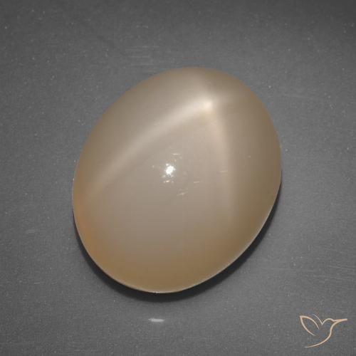 6,89 ct Oval Star Moonstone, 12,3 x 10,1 mm da Índia, Photo A