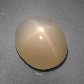 Pedra da Lua Estrela Pêssego Creme Natural 6.87ct, Corte Oval, Translúcido