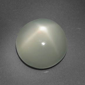 Pedra da lua estrela creme natural 6,95ct, corte redondo, translúcido