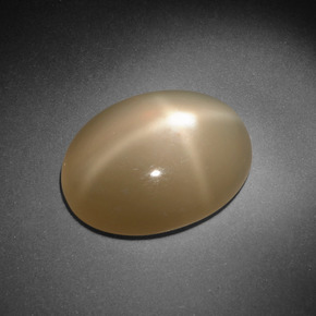 Pedra da lua estrela creme natural 8,09ct, corte oval, translúcido