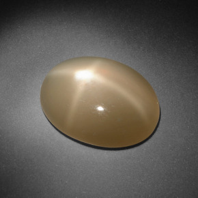 Pedra da lua estrela creme natural 8,09ct, corte oval, translúcido