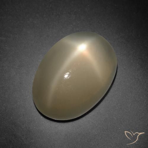 7,41 ct Oval Star Moonstone, 14,2 x 10 mm da Índia, Photo A