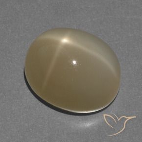 Pedra da Lua Estrela Laranja acastanhado Natural 8.56ct, oval, Translúcido