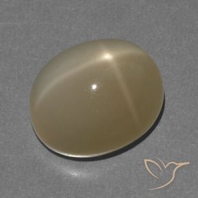 Pedra da Lua Estrela Laranja acastanhado Natural 8.56ct, oval, Translúcido