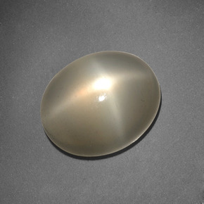 Pedra da lua estrela creme natural 6,62ct, corte oval, translúcido