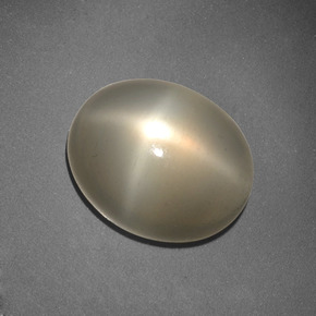 Pedra da lua estrela creme natural 6,62ct, corte oval, translúcido