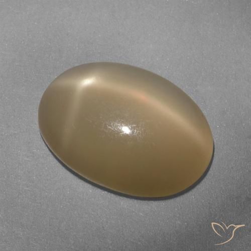 5.33ct Natural Laranja médio-escuro Pedra da Lua Estrela, oval, Translúcido
