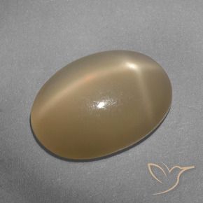 Pedra da Lua Estrela Laranja médio-escuro Natural 5.33ct, oval, Translúcido