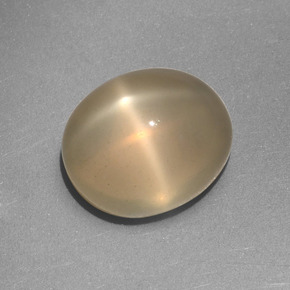 Pedra da lua estrela creme natural 5,25ct, corte oval, translúcido