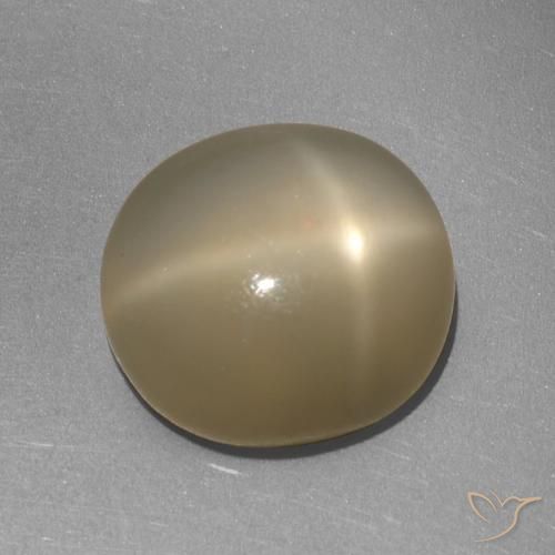 6.41ct Natural Laranja acastanhado Pedra da Lua Estrela, oval, Translúcido