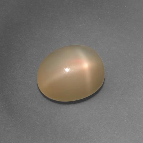 Pedra da lua estrela laranja natural 4,36ct, corte oval, translúcido