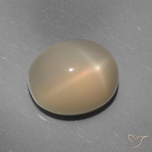 7.02ct Natural Laranja Médio-Claro Pedra da Lua Estrela, oval, Translúcido