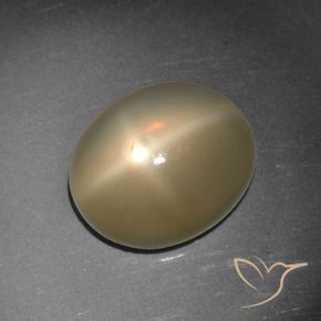 Pedra da Lua Estrela Laranja médio-escuro Natural 5.65ct, Corte Oval, Translúcido
