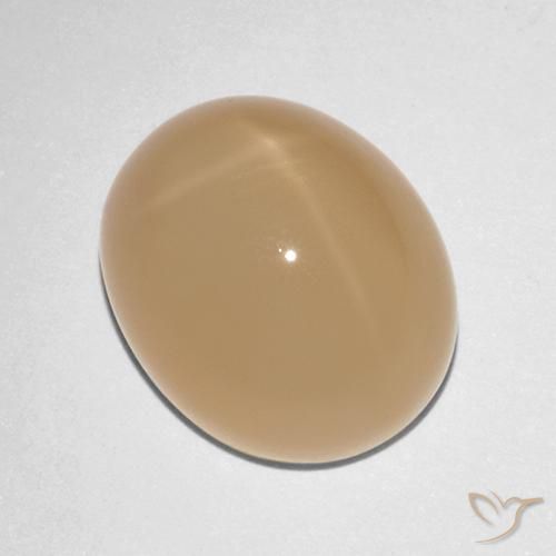 Pedra da Lua Estrela Laranja Melão Natural 7.88ct, oval, Translúcido