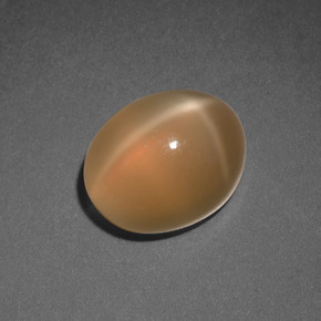 Pedra da lua estrela laranja natural 3,69ct, corte oval, translúcido