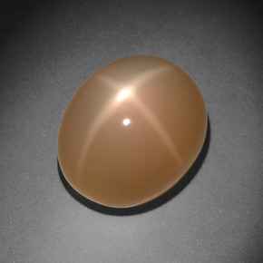 Pedra da Lua Estrela Pêssego Creme Natural 11.18ct, Corte Oval, Translúcido