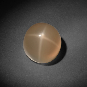 Pedra da lua estrela creme natural 7,13ct, corte redondo, translúcido