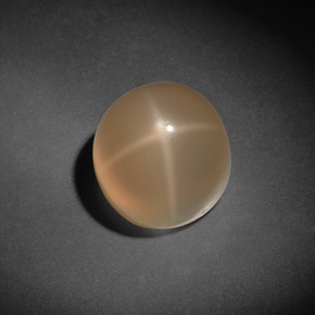 Pedra da lua estrela creme natural 7,13ct, corte redondo, translúcido