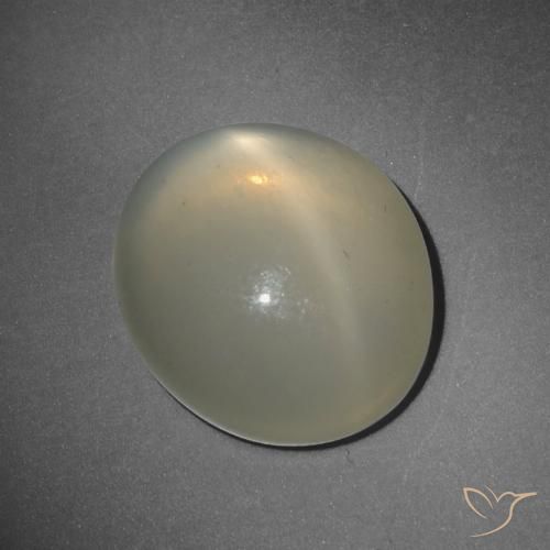 10.38ct Natural Luz amarela Pedra da Lua Estrela, oval, Translúcido