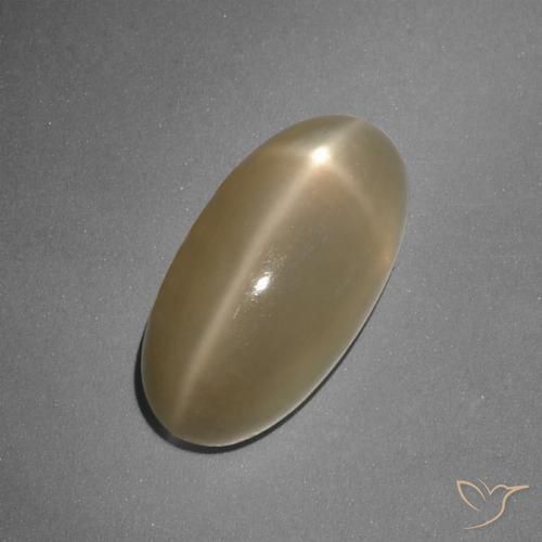 7.96ct Natural Laranja médio-escuro Pedra da Lua Estrela, oval, Translúcido