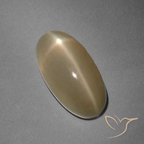 Pedra da Lua Estrela Laranja médio-escuro Natural 7.96ct, oval, Translúcido