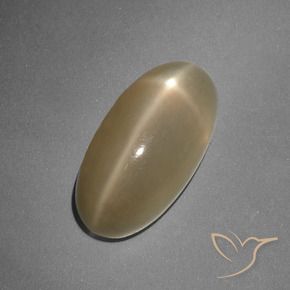 Pedra da Lua Estrela Laranja médio-escuro Natural 7.96ct, oval, Translúcido