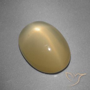 Pedra da Lua Estrela Amarelo Dijon Natural 5.16ct, oval, Translúcido