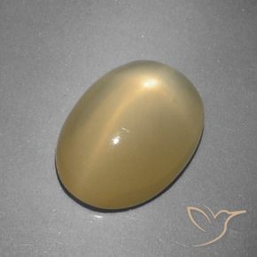 Pedra da Lua Estrela Amarelo Dijon Natural 5.16ct, oval, Translúcido