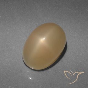 Pedra da Lua Estrela Ouro Natural 5.21ct, Corte Oval, Translúcido