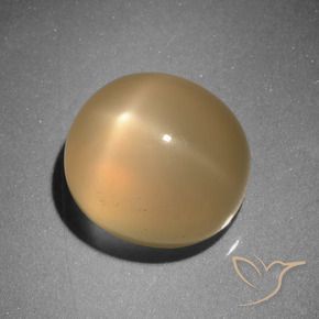 Pedra da Lua Estrela Laranja Médio Natural 6.73ct, oval, Translúcido