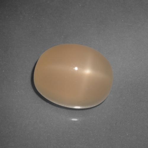 Pedra da lua estrela laranja natural 6,21ct, corte oval, translúcido