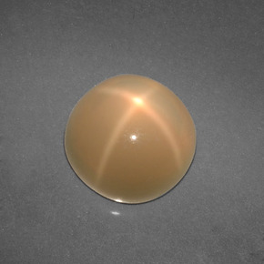 Pedra da lua estrela creme natural 4,57ct, corte redondo, translúcido