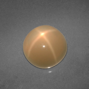 Pedra da lua estrela creme natural 4,57ct, corte redondo, translúcido