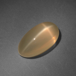 Pedra da lua estrela creme natural 4,71ct, corte oval, translúcido