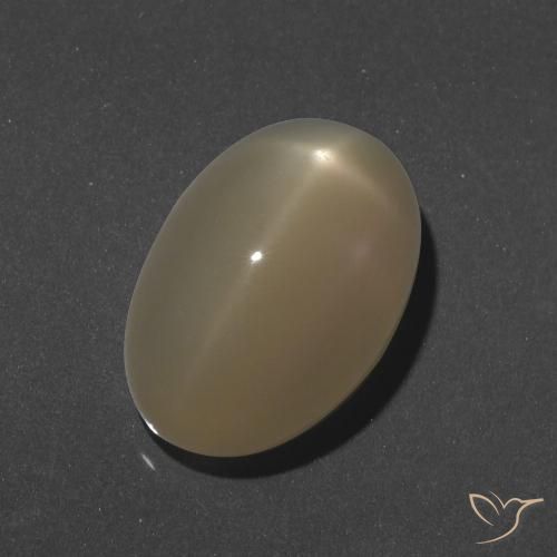 9.46ct Natural Laranja médio-escuro Pedra da Lua Estrela, oval, Translúcido