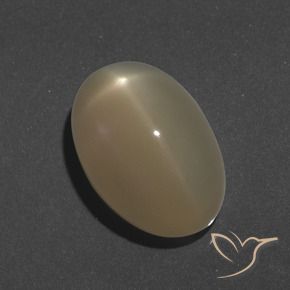 Pedra da Lua Estrela Laranja médio-escuro Natural 9.46ct, oval, Translúcido
