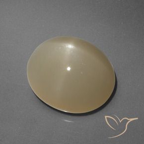 Pedra da Lua Estrela Laranja médio-escuro Natural 6.05ct, oval, Translúcido