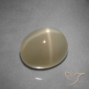 Pedra da Lua Estrela Laranja médio-escuro Natural 5.32ct, oval, Translúcido
