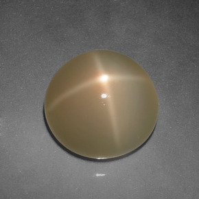 Pedra da lua estrela creme natural 5,94ct, corte redondo, translúcido