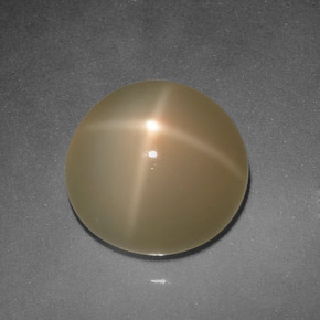 Pedra da lua estrela creme natural 5,94ct, corte redondo, translúcido